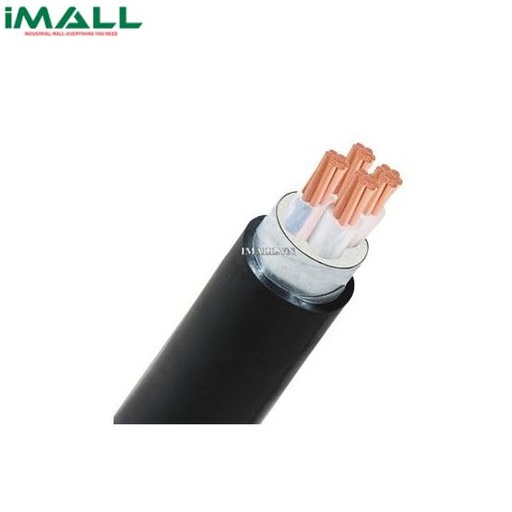 Dây cáp điện Cadivi CXV/DSTA-3×6+1×4 mm2 – 0.6/1kV | IMALL